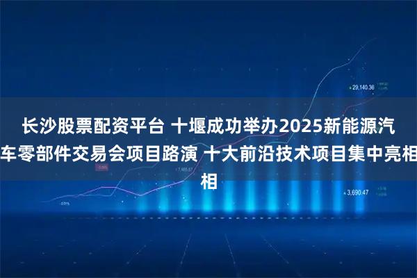 长沙股票配资平台 十堰成功举办2025新能源汽车零部件交易会项目路演 十大前沿技术项目集中亮相