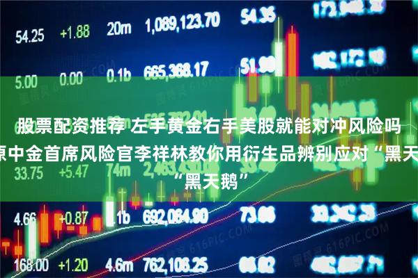 股票配资推荐 左手黄金右手美股就能对冲风险吗？原中金首席风险官李祥林教你用衍生品辨别应对“黑天鹅”