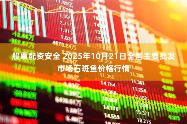股票配资安全 2025年10月21日全国主要批发市场石斑鱼价格行情