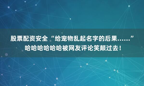 股票配资安全 “给宠物乱起名字的后果......” 哈哈哈哈哈哈被网友评论笑颠过去！