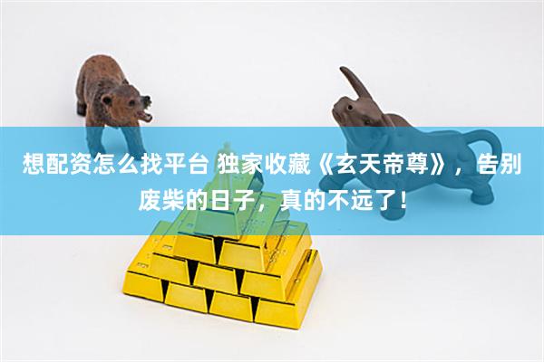 想配资怎么找平台 独家收藏《玄天帝尊》，告别废柴的日子，真的不远了！