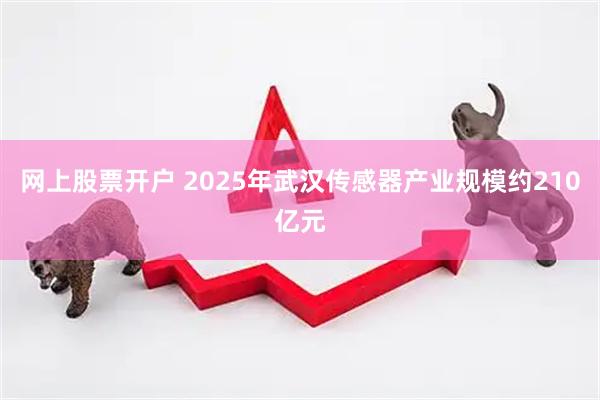 网上股票开户 2025年武汉传感器产业规模约210亿元